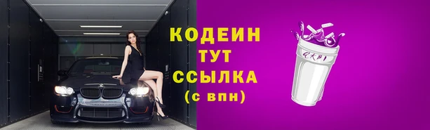 кокс Гусев