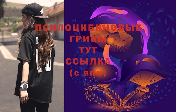 меф Гусь-Хрустальный